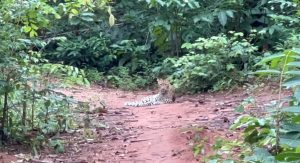 Screenshot_20250825-213141