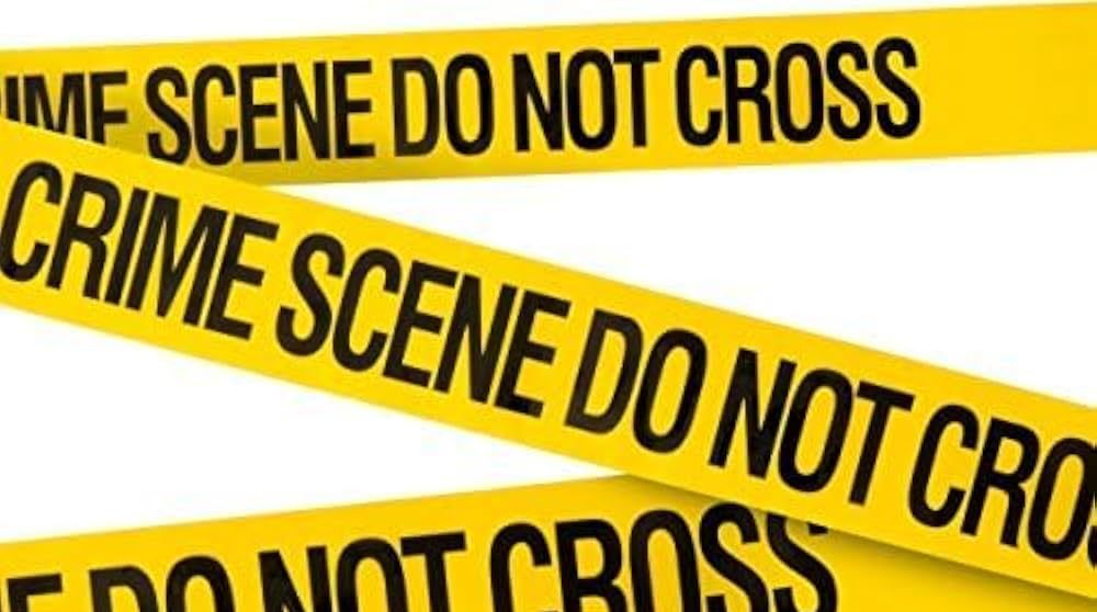 41MncZLOrdL._AC_UF1000,1000_QL80_~2