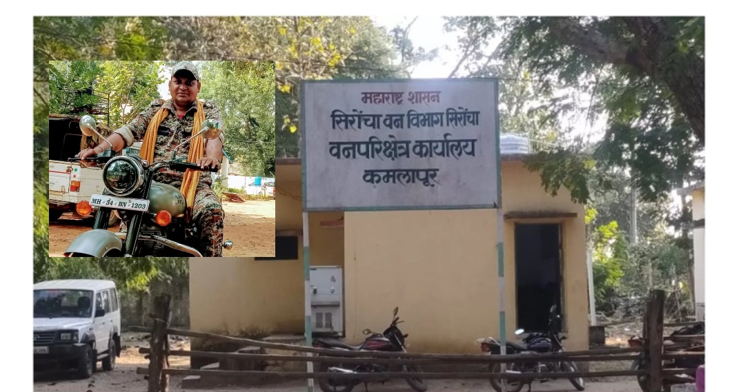 GIMP IMAGE EDITOR_4b2a14e0-25f0-410b-b695-c4e9d982a0ba