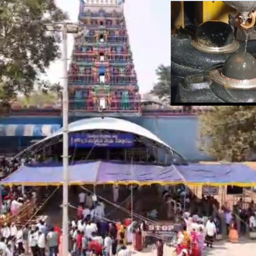 InShot_20260214_171616313