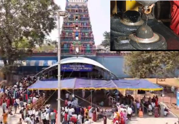 InShot_20260214_171616313