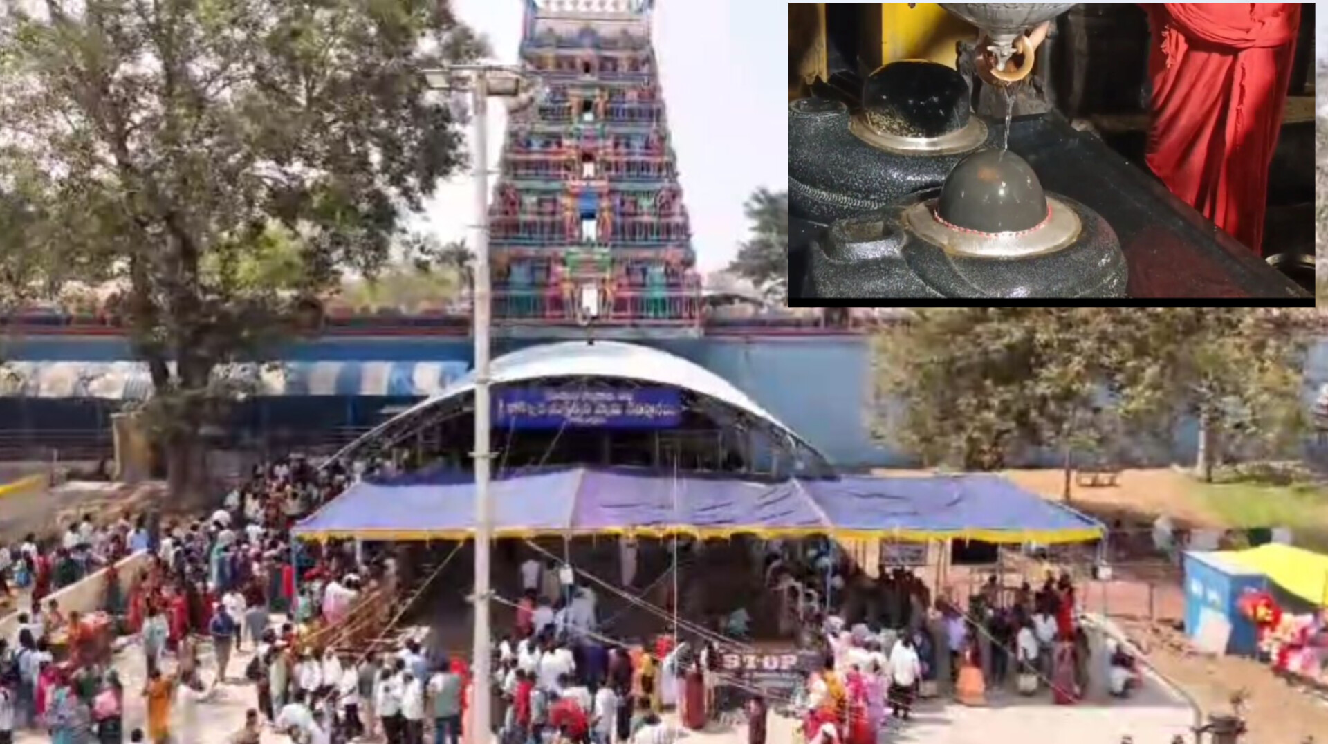 InShot_20260214_171616313