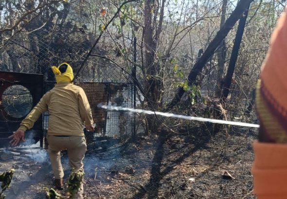 IMG-20260416-WA0072~2