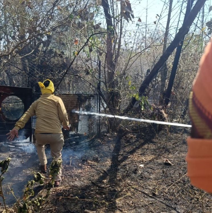 IMG-20260416-WA0072~2