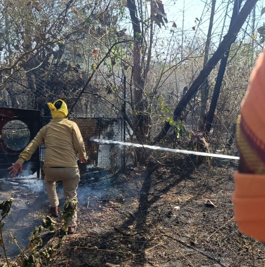 IMG-20260416-WA0072~2